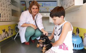 Poupatempo Animal atende Jardim Mauá nesta semana 2 poupatempo animal02