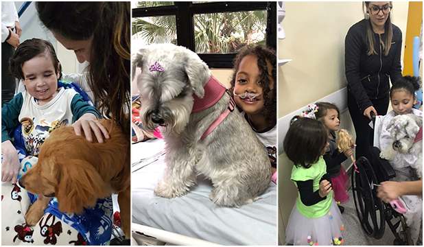 Crianças da pediatria do CHM recebem visita de cães terapeuta 3 Crianças da pediatria do CHM recebem visita de cães terapeutas2