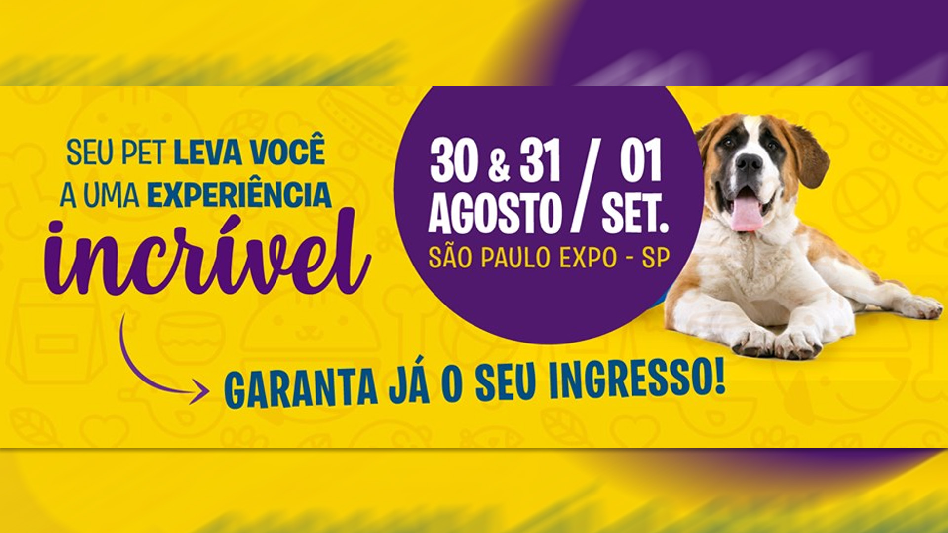 Cães terão massagem relaxante sessões de higiene e embelezamento na Pet