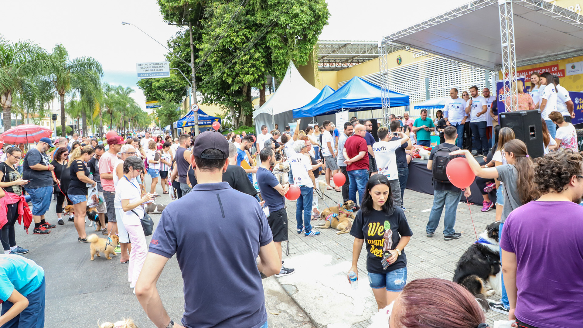 Cãominhada celebra o bem-estar animal em São Caetano 1 Cãominhada celebra o bem estar animal em São Caetano