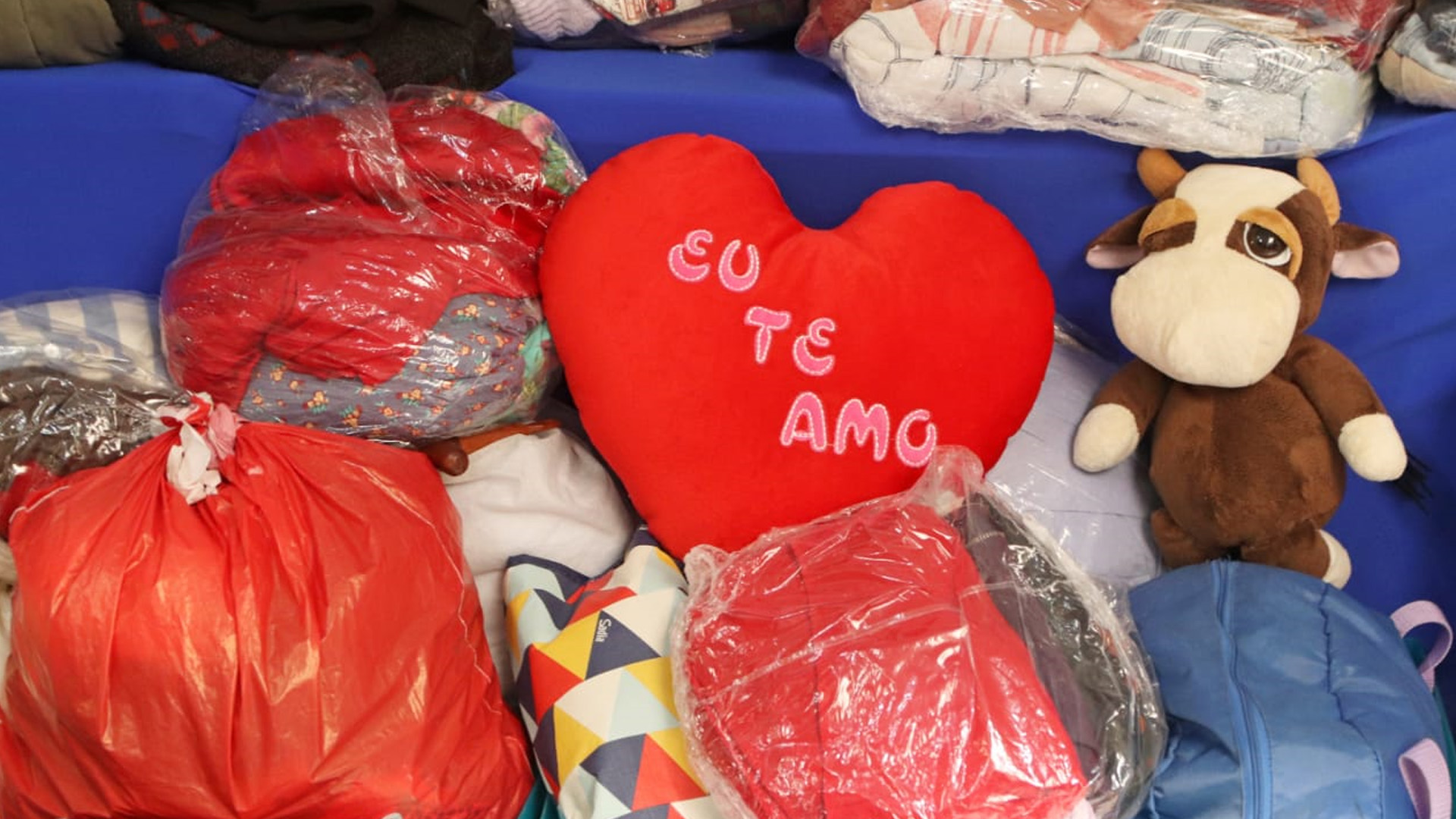 Lojas Solidárias de Santo André distribuem 30 mil itens para entidades sociais 2 Lojas Solidarias de Santo Andre distribuem 30 mil itens para entidades sociais3