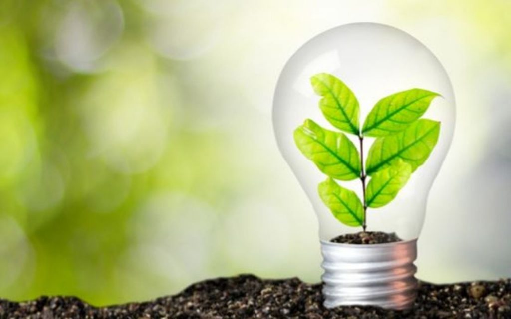Seguindo tendências sustentáveis, empresa paulista alavanca práticas em prol do meio ambiente 1 Seguindo tendências sustentáveis, empresa paulista alavanca práticas em prol do meio ambiente