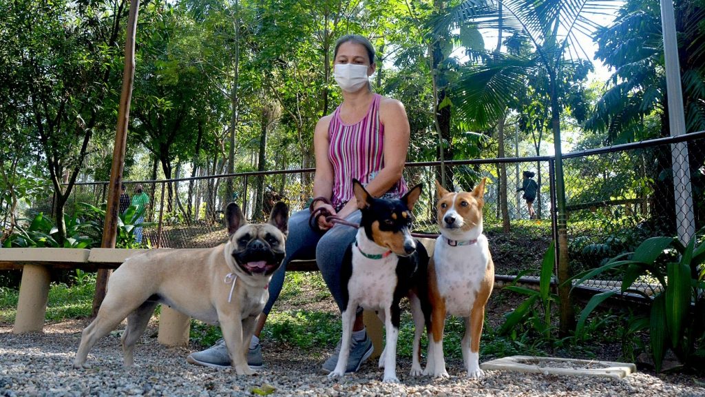 Doação feita por munícipes junto com o IPTU de 2020 será utilizada em prol da causa animal 1 image editor output image1428541451 1609267566177