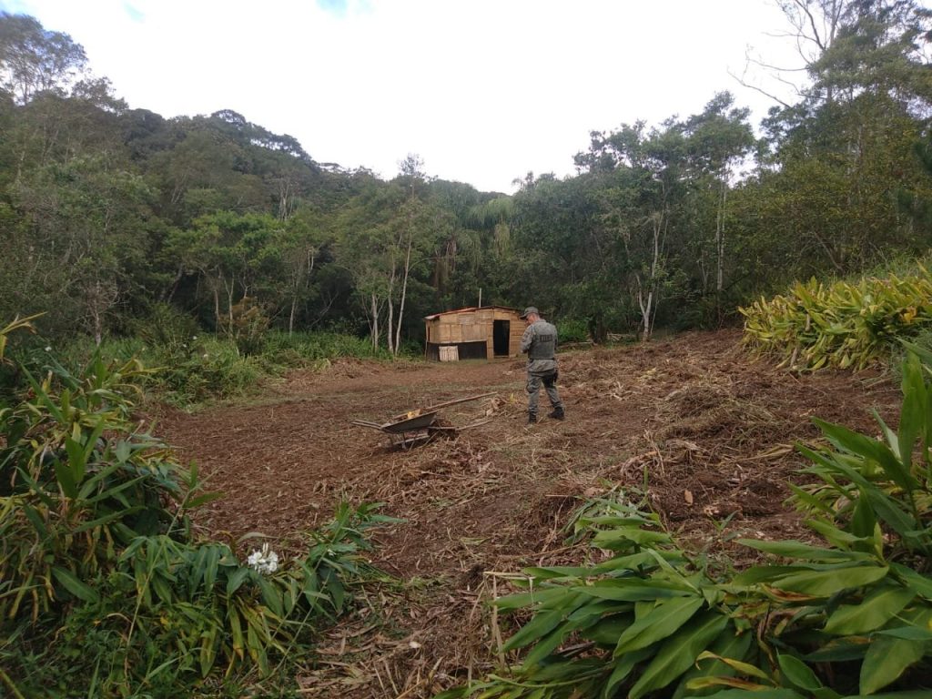 Guarda Ambiental de São Bernardo interrompe desmatamento em área de preservação permanente 1 guardaambiental23890730679348428117.