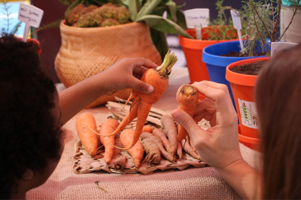 Sesc São Caetano integra sexta edição do "Experimenta! Comida, Saúde e Cultura" 2 Sesc São Caetano integra sexta edição do Experimenta! Comida, Saúde e Cultura e reflete sobre as escolhas alimentares e seus impactos na saúde e no meio ambiente