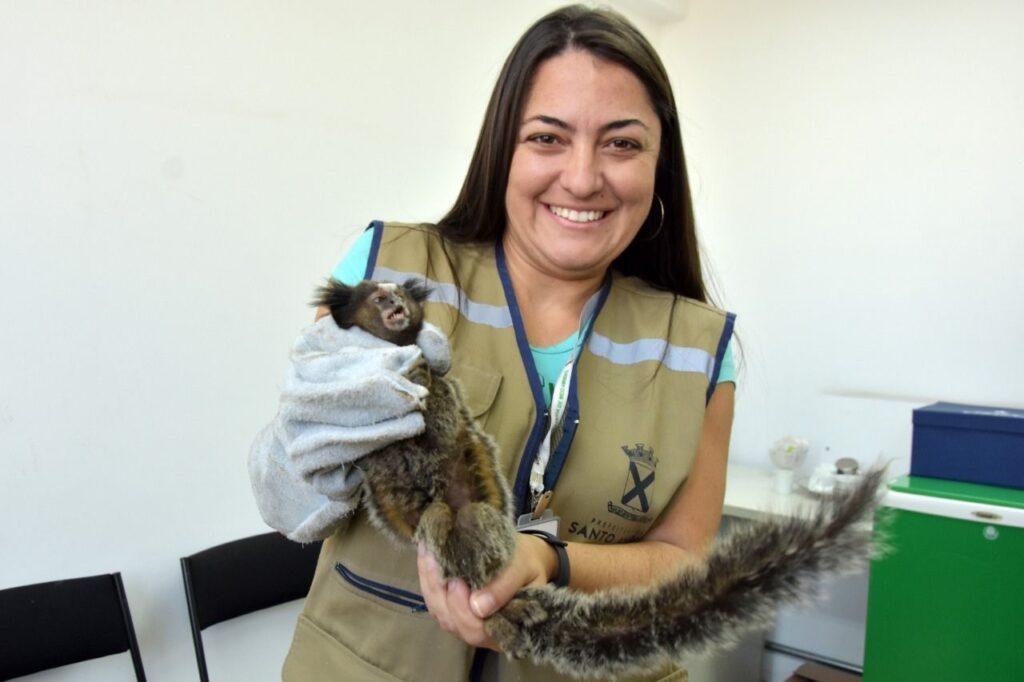 Santo André resgata 237 animais silvestres nos primeiros dez meses do ano