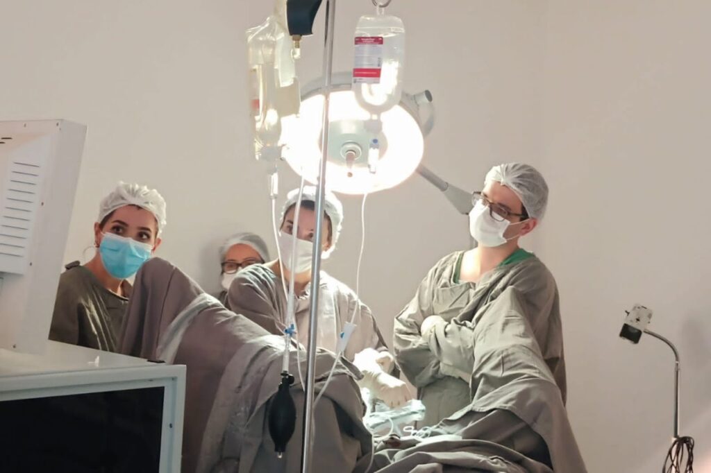 Santo André realiza força-tarefa de cirurgias ginecológicas no Hospital da Mulher 2 Santo André realiza força-tarefa de cirurgias ginecológicas no Hospital da Mulher