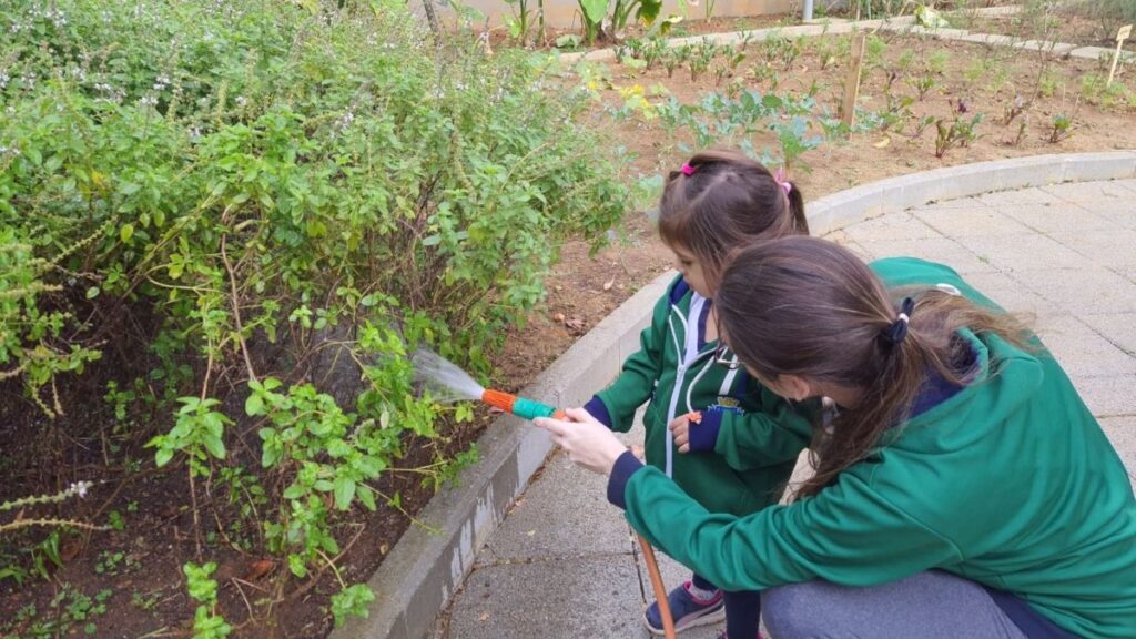 Escolas municipais de São Caetano são selecionadas em projeto da FAO, agência da ONU para o combate à fome 4 Escolas municipais de São Caetano são selecionadas em projeto da FAO, agência da ONU para o combate à fome