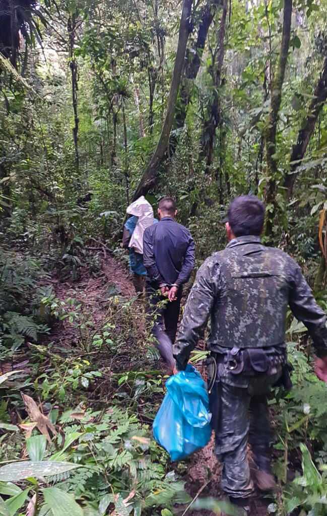 Guarda Ambiental de São Bernardo interrompe extração ilegal de palmito juçara 1 Guarda Ambiental de São Bernardo interrompe extração ilegal de palmito juçara