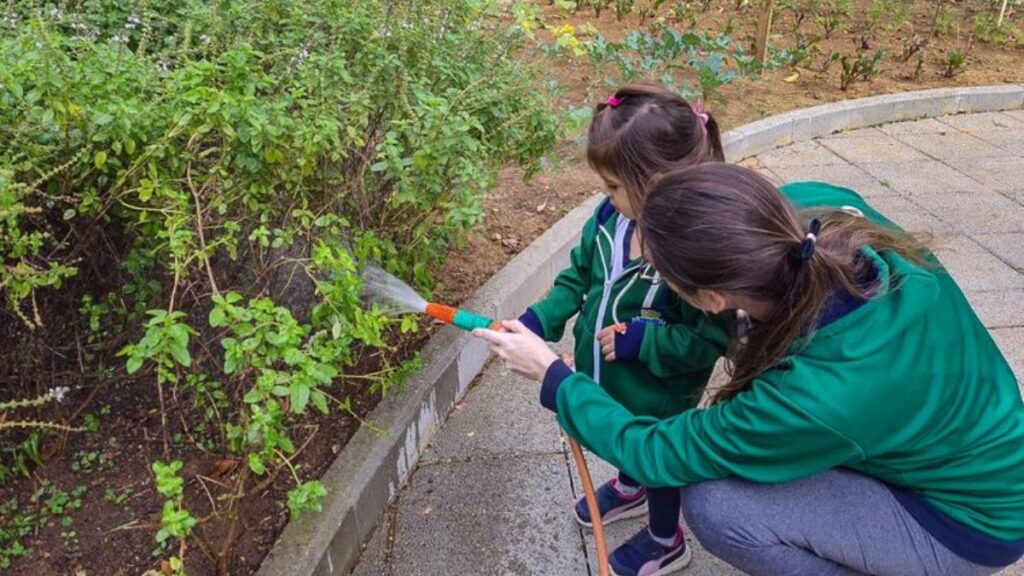 Escolas de São Caetano do Sul são referência em alimentação escolar sustentável e atrativa 3 Escolas de São Caetano do Sul são referência em alimentação escolar sustentável e atrativa