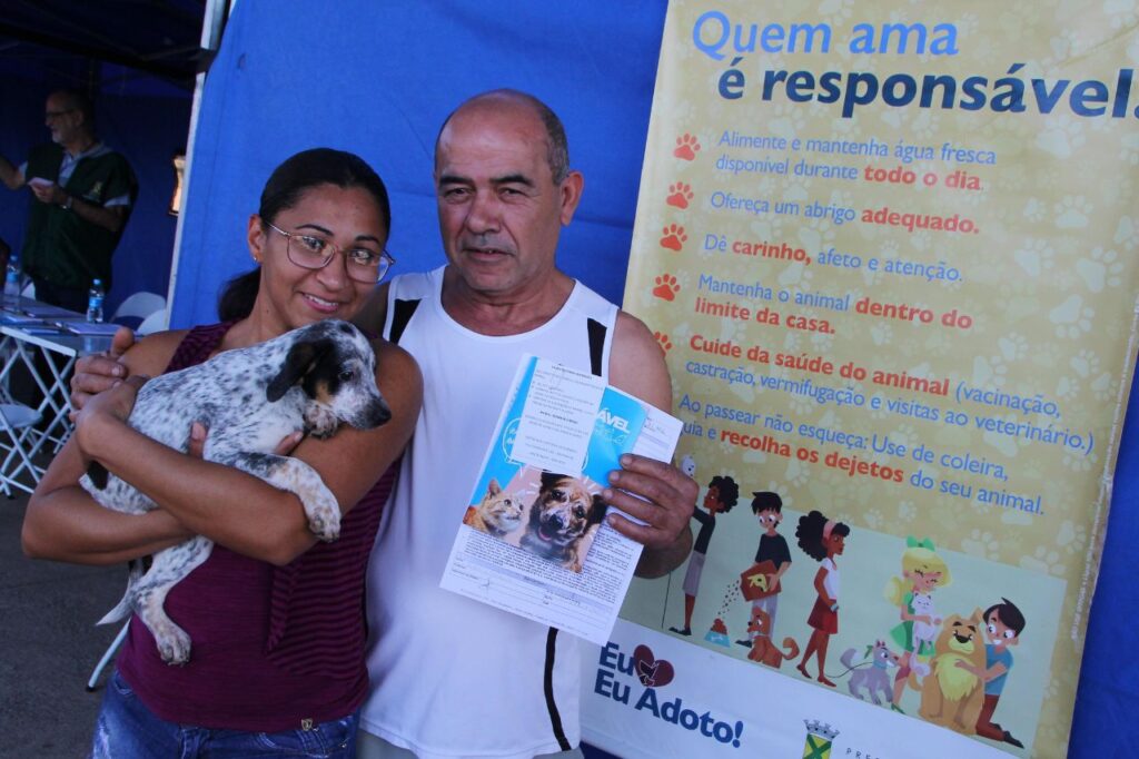 Parque Central recebe ações da causa animal e garante lar para 40 pets 
