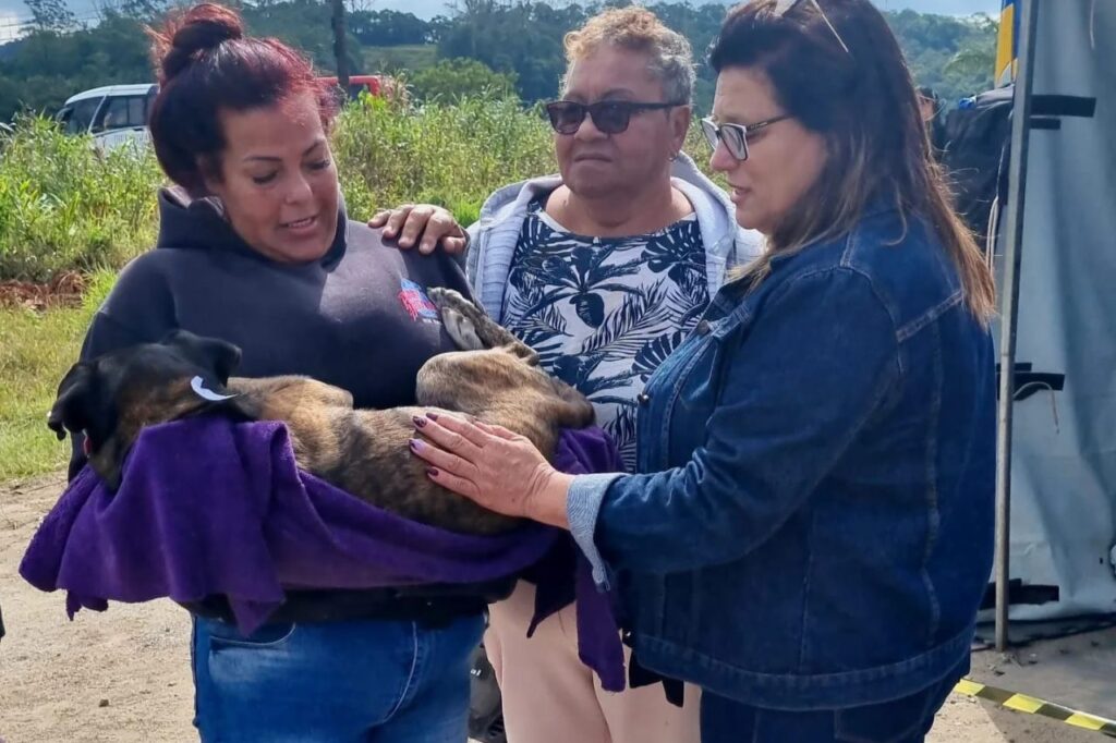 Rio Grande da Serra realiza Mutirão e castra mais de 390 animais