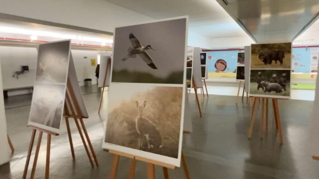 Sabina recebe exposição com fotografias premiadas de países da Europa Central 5 Sabina recebe exposição com fotografias premiadas de países da Europa Central