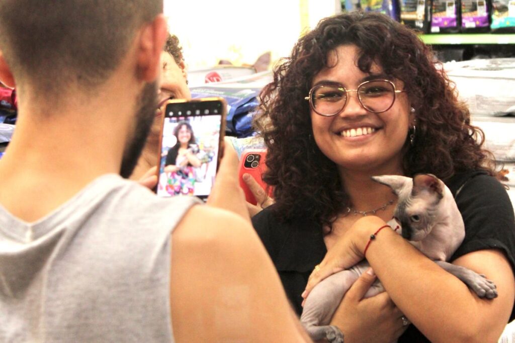 Gatos gigantes e exóticos são protagonistas em exposição no Dr. Hato Campestre, em Santo André 2 Gatos gigantes e exóticos são protagonistas em exposição no Dr. Hato Campestre, em Santo André