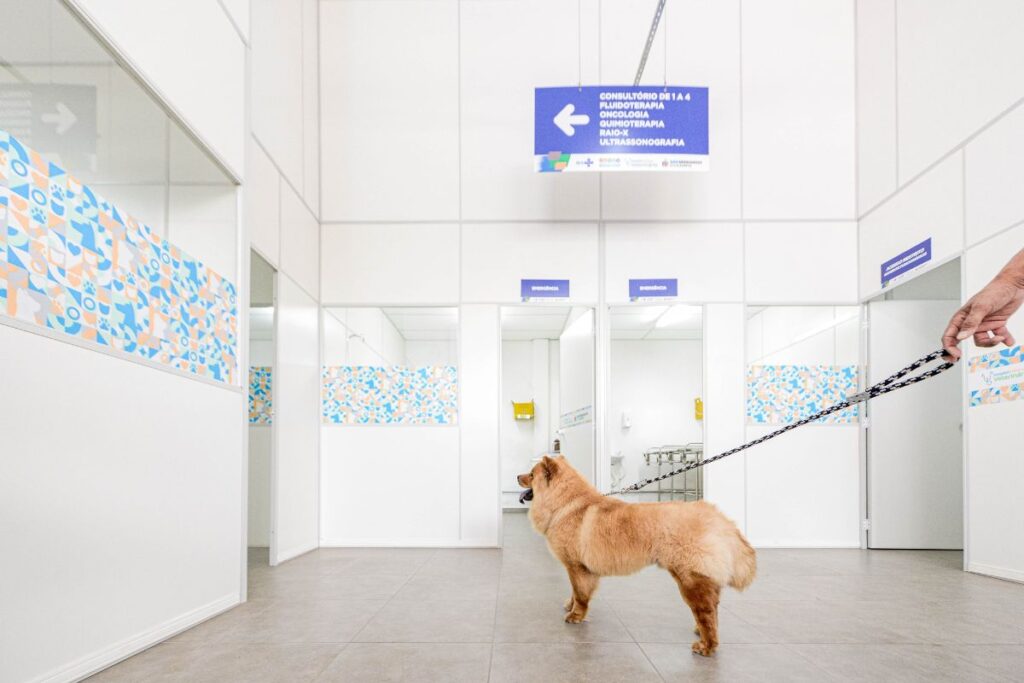 São Bernardo inaugura seu primeiro hospital público veterinário 2 São Bernardo inaugura seu primeiro hospital público veterinário