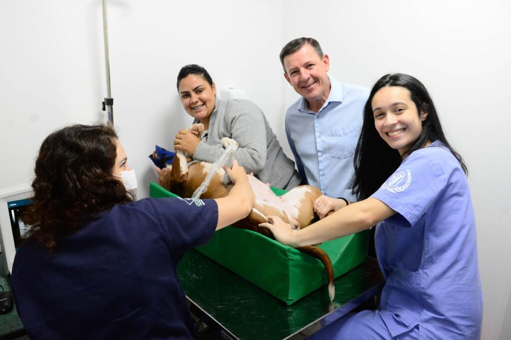 Hospital Veterinário de São Bernardo completa um mês com 551 animais atendidos 1 Hospital veterinário de São Bernardo completa um mês com 551 animais atendidos