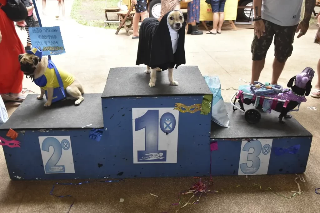 Blocão de Carnaval faz a festa com mais de 200 cães no Parque Celso Daniel