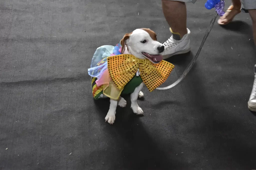 Blocão de Carnaval faz a festa com mais de 200 cães no Parque Celso Daniel