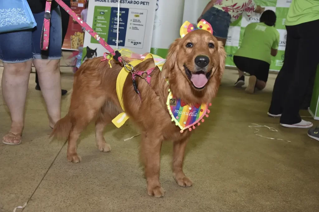 Blocão de Carnaval faz a festa com mais de 200 cães no Parque Celso Daniel