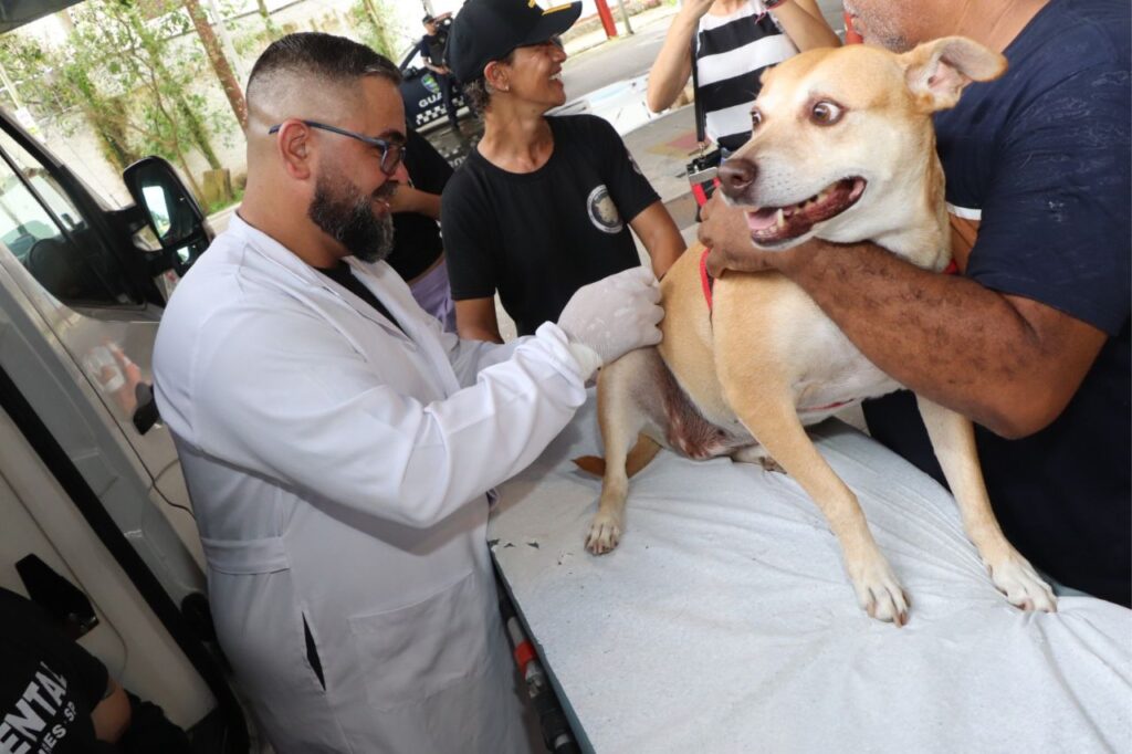 Ribeirão Pires lança ‘Tigela Cheia’, programa que alia reciclagem e alimentação para pets 1 Ribeirão Pires lança ‘Tigela Cheia’, programa que alia reciclagem e alimentação para pets