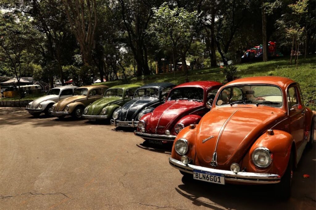 Bosque do Povo terá encontro de carros antigos no domingo