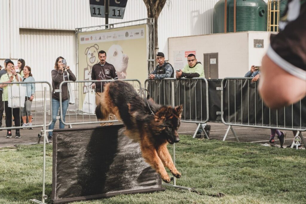 Grand Plaza abre inscrições para a corrida 5K Animal