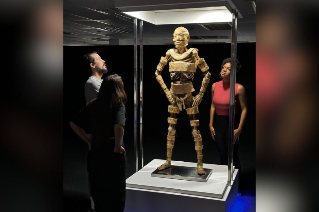 Exposição 'Corpo Humano' estende temporada em São Paulo 1 Exposição 'Corpo Humano' estende temporada em São Paulo